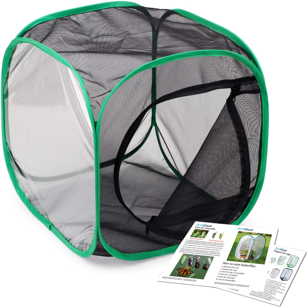 RESTCLOUD monarch habitat cage front view ideal for classroom observation.