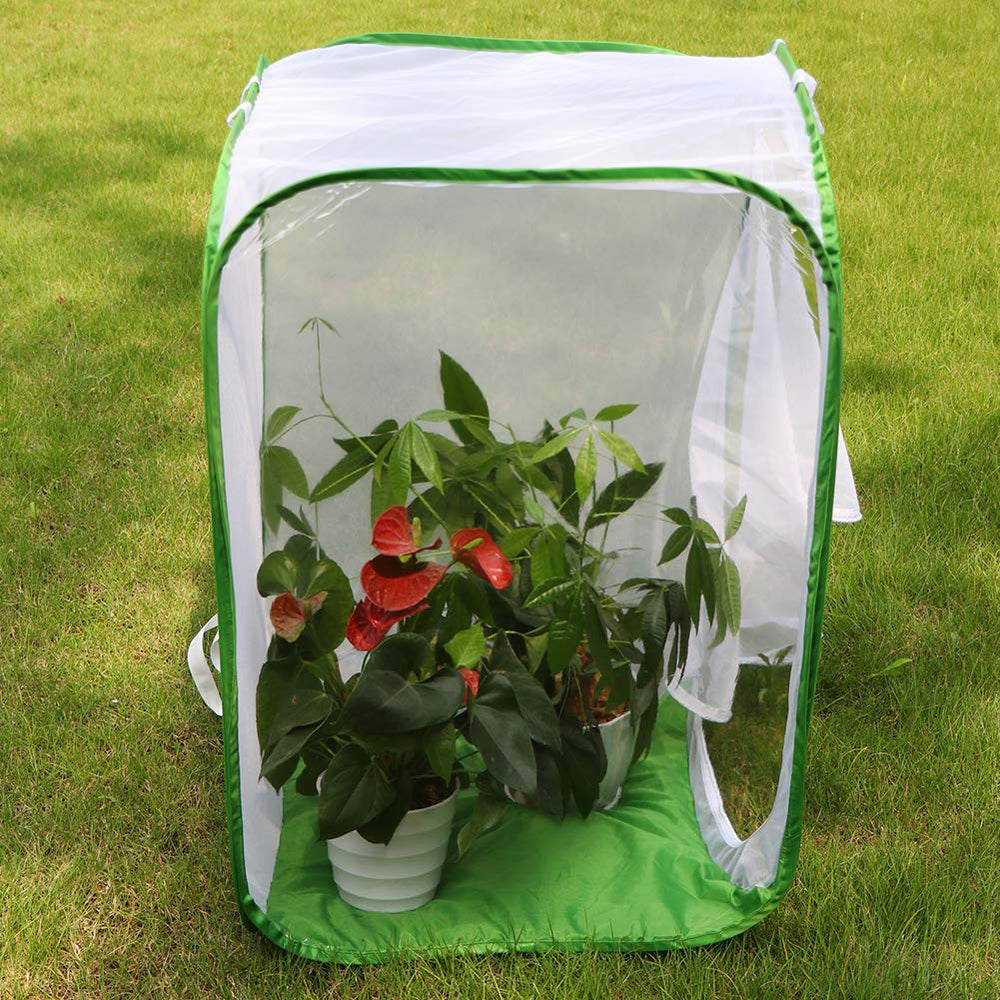 RESTCLOUD Monarch Habitat dimensions 24x24x36 for spacious caterpillar pen