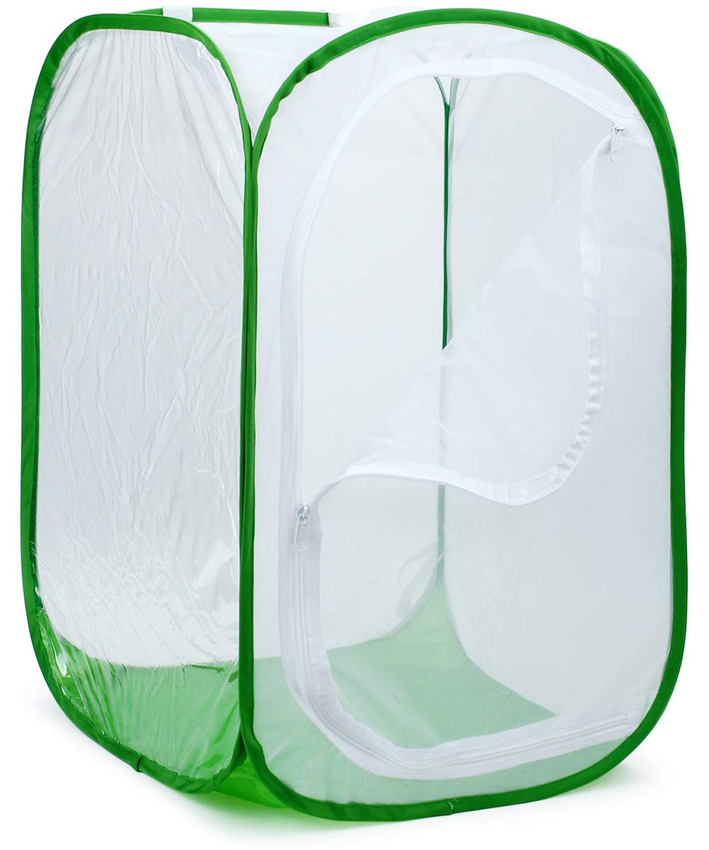 RESTCLOUD Monarch Habitat side door open for easy feeding and gentle handling