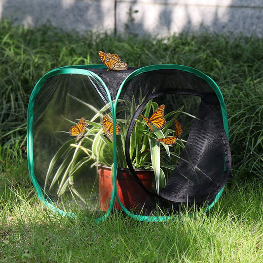 RESTCLOUD pop-up butterfly habitat expanded for easy airflow demonstration.