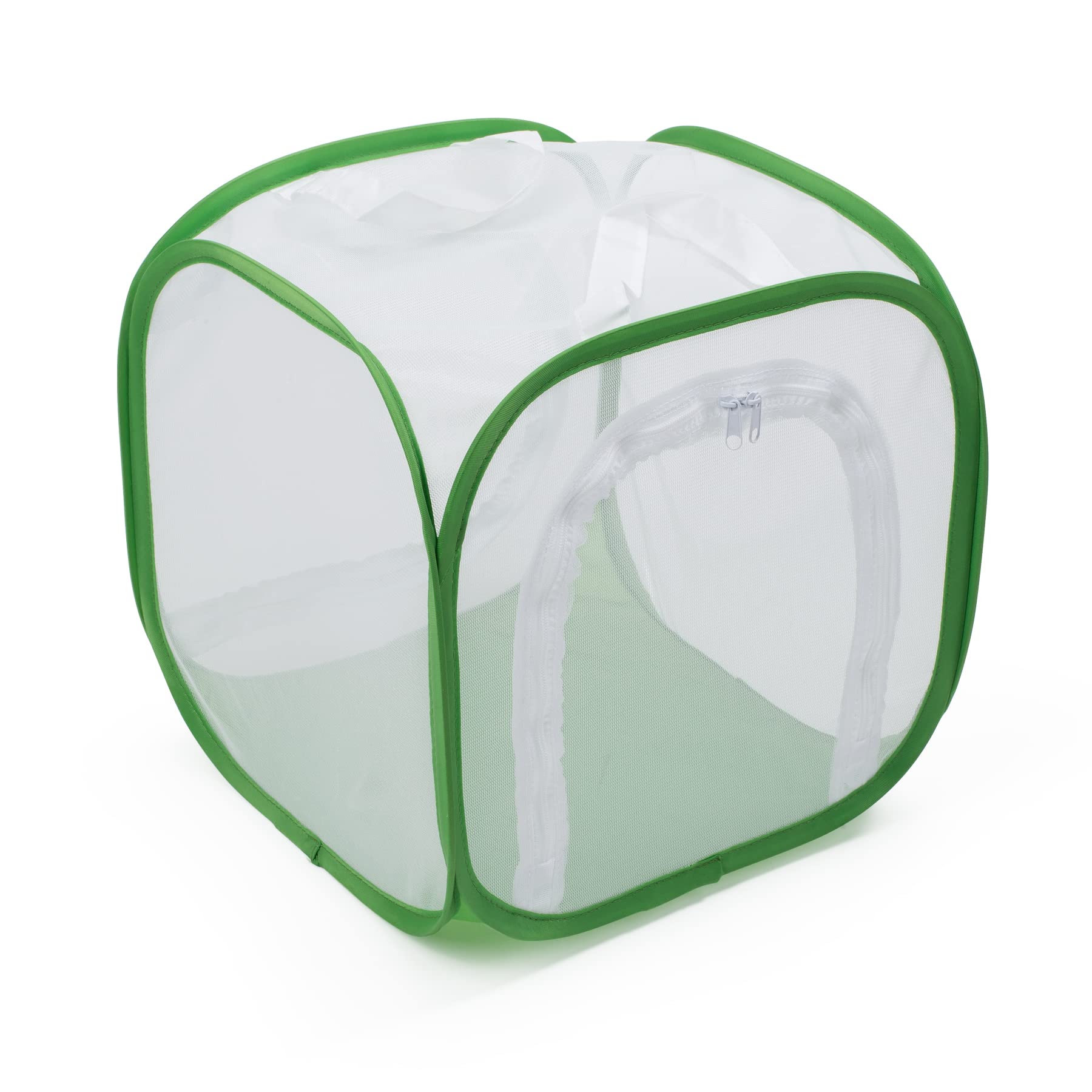 RESTCLOUD Quick start guide helps beginners raise healthy butterflies