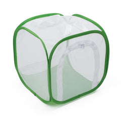 RESTCLOUD Quick start guide helps beginners raise healthy butterflies