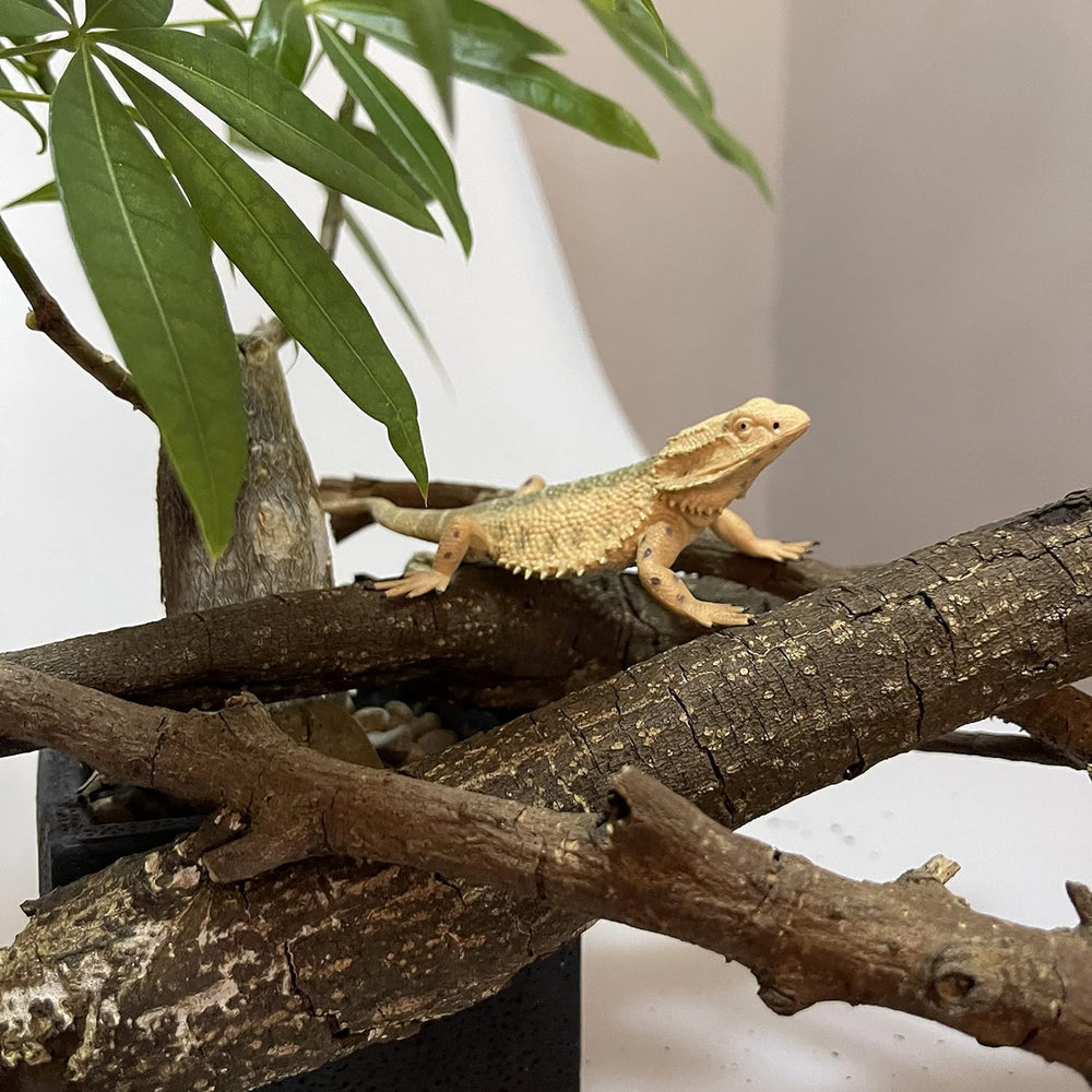 Rich Boxer lizard figurine detail texture emphasizes artisanal craft.