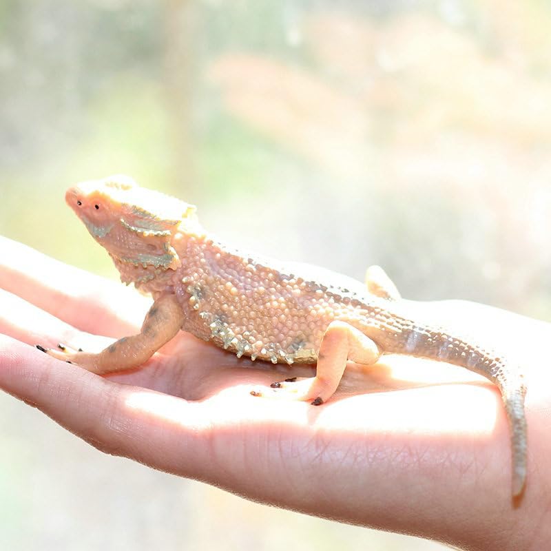 Rich Boxer lizard figurine home decor accent for any room.