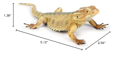 Rich Boxer lizard figurine packaging included for easy gifting.