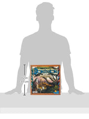 Rio Grande Games Dominion Dark Ages expansion shelters replace starting estates for varied early games