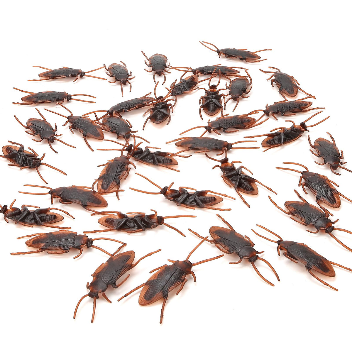 Riomeira 2.6-inch realistic cockroaches close-up for convincing desk pranks.