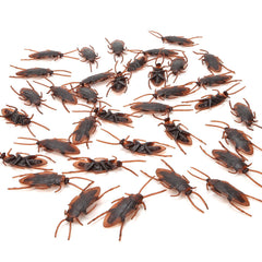 Riomeira 2.6-inch realistic cockroaches close-up for convincing desk pranks.