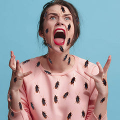 Riomeira prank setup with realistic roaches for scary decor