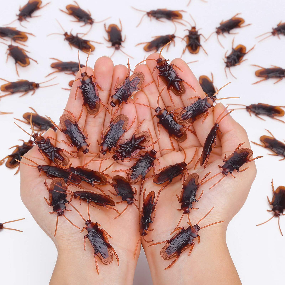 Riomeira pretty realistic fake roaches pack for convincing pranks