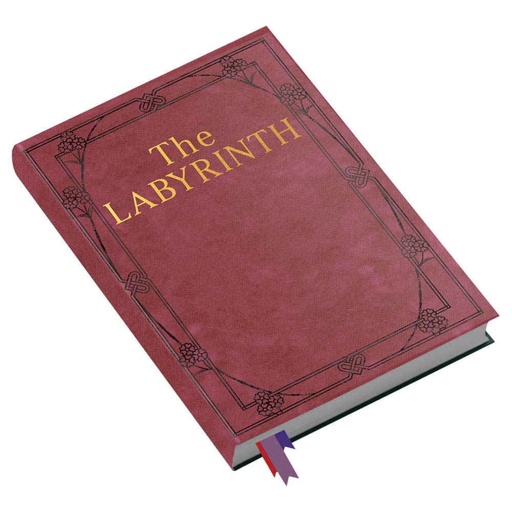 River Horse Labyrinth adventure game box with complete set for immersive family play.