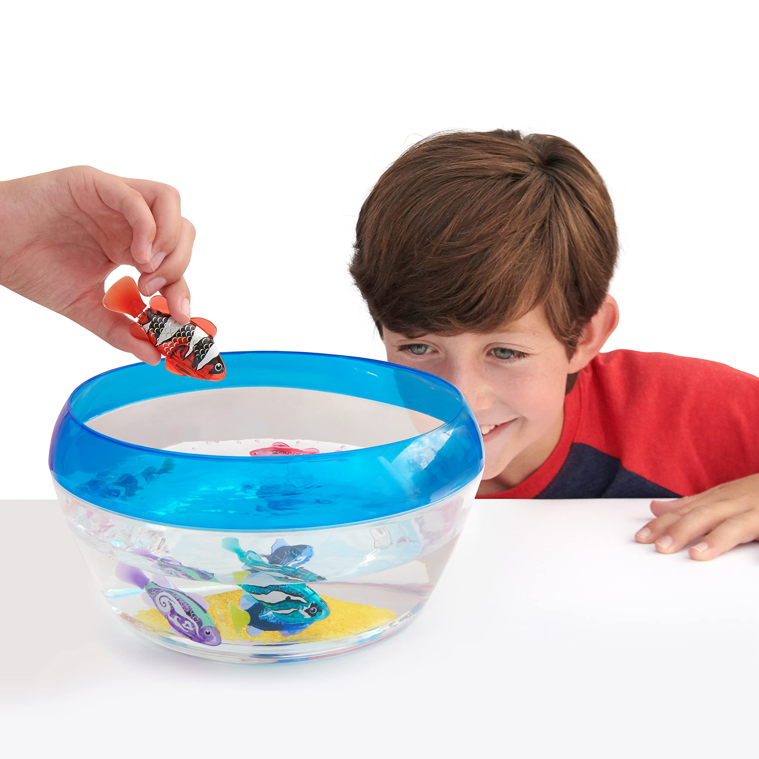 Robo Alive Never Wet Sand Squeezer helps shape the coral reef cleanly.