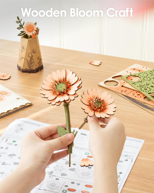 ROBOTIME laser-cut wood parts enable precise assembly and a polished look