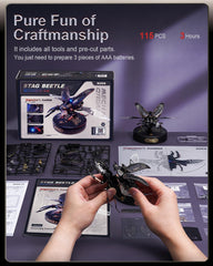 ROKR assembly 156-part kit becomes an impressive decor and conversation piece.