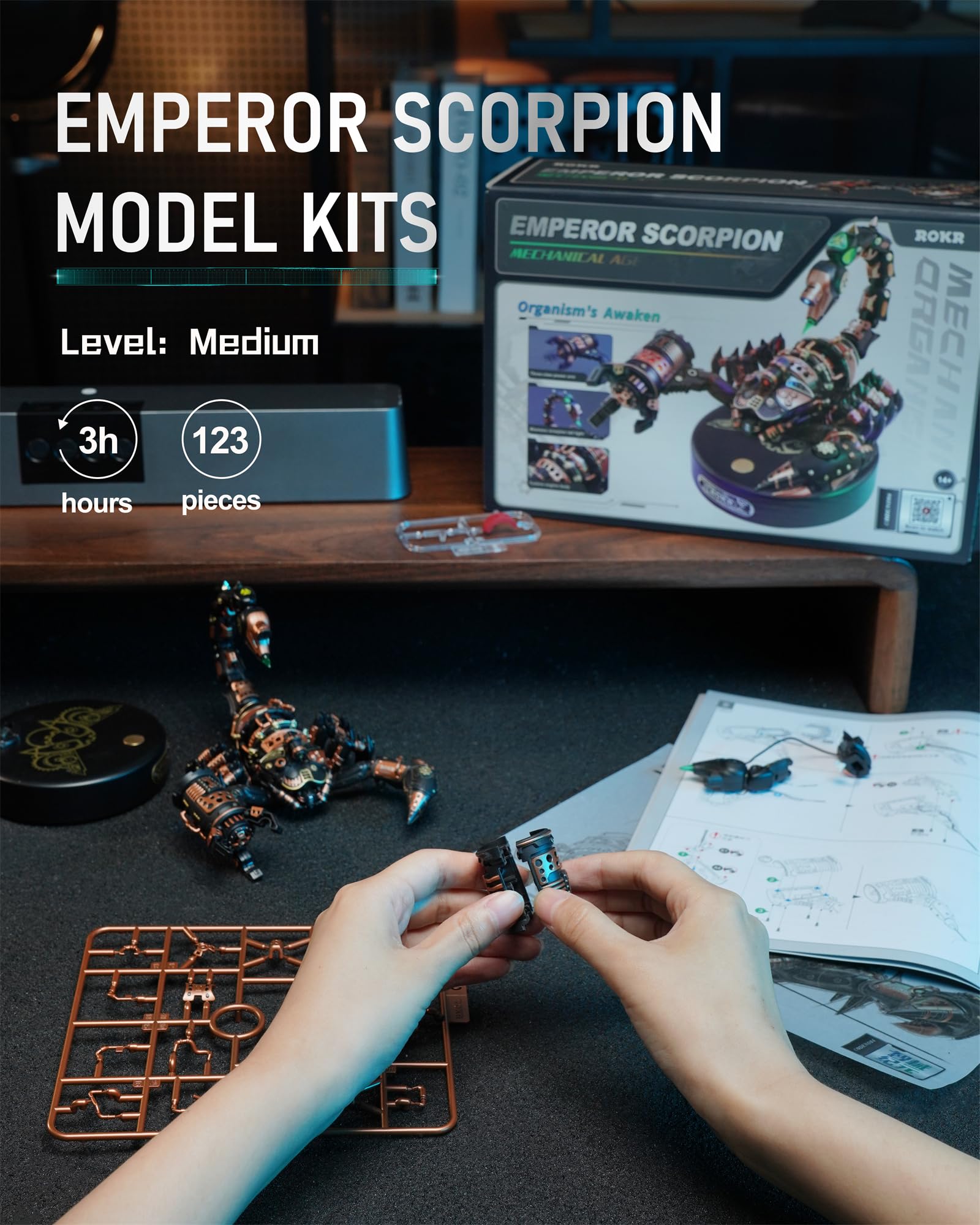 ROKR laser-cut parts kit ready for precise assembly and fun