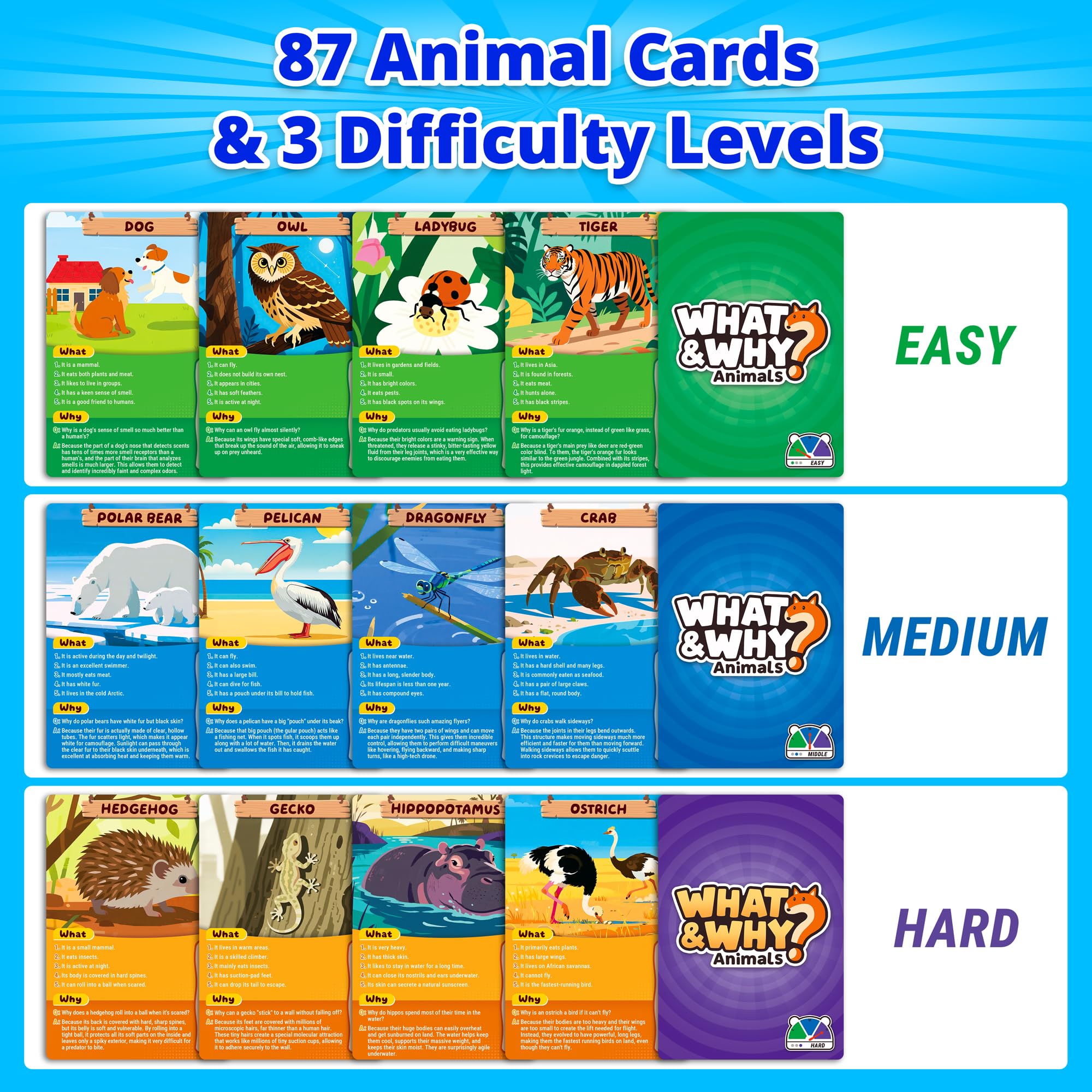 rokt-razo three difficulty levels boost inclusion for kids, teens, and adults during play