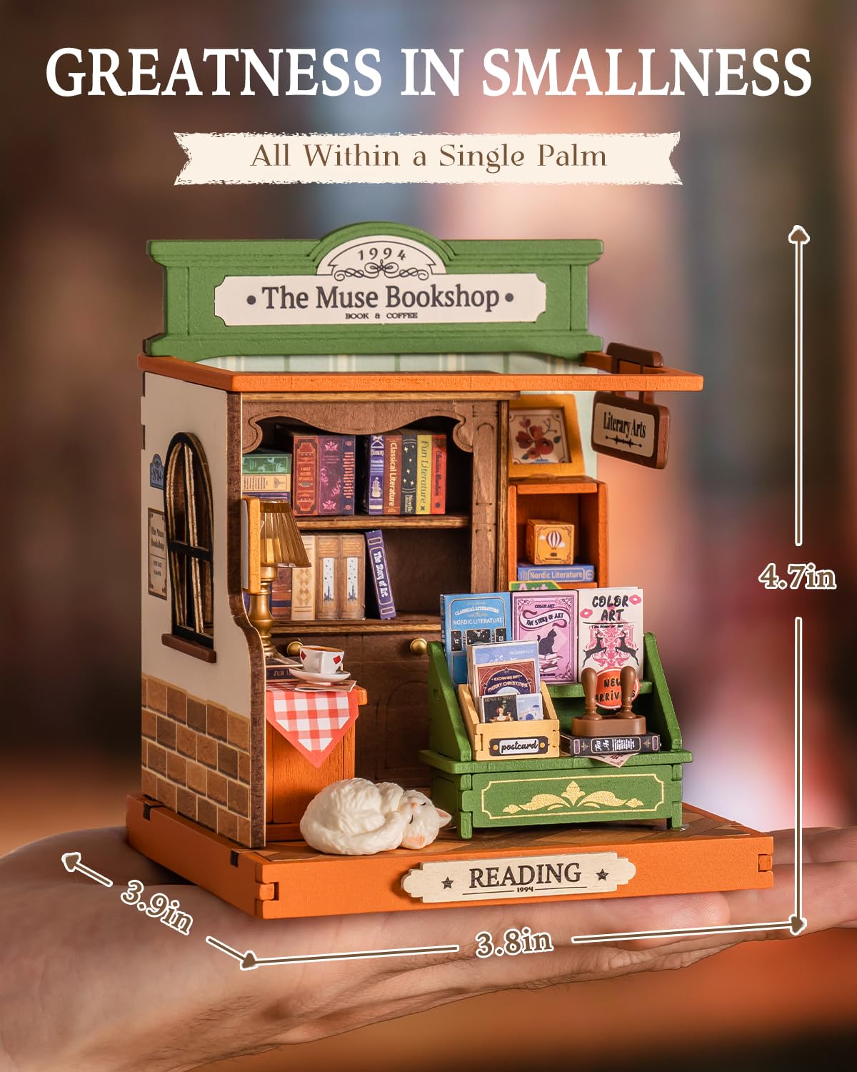 Rolife Muse Bookshop window display highlights daylight ambience.