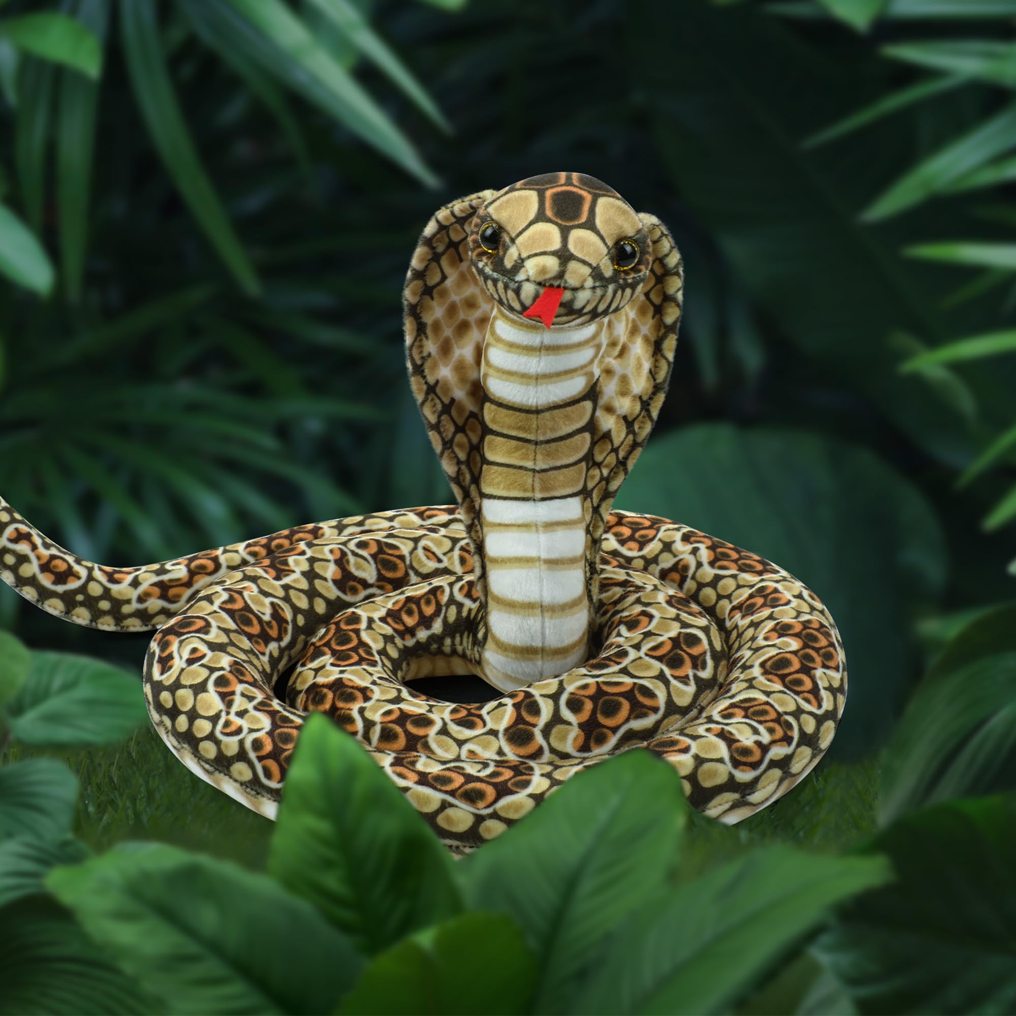 Romart Cobra stretching pose illustrating flexible display and dramatic length.