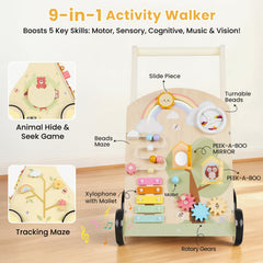 Rosynee activity center on walker with 9 learning features.