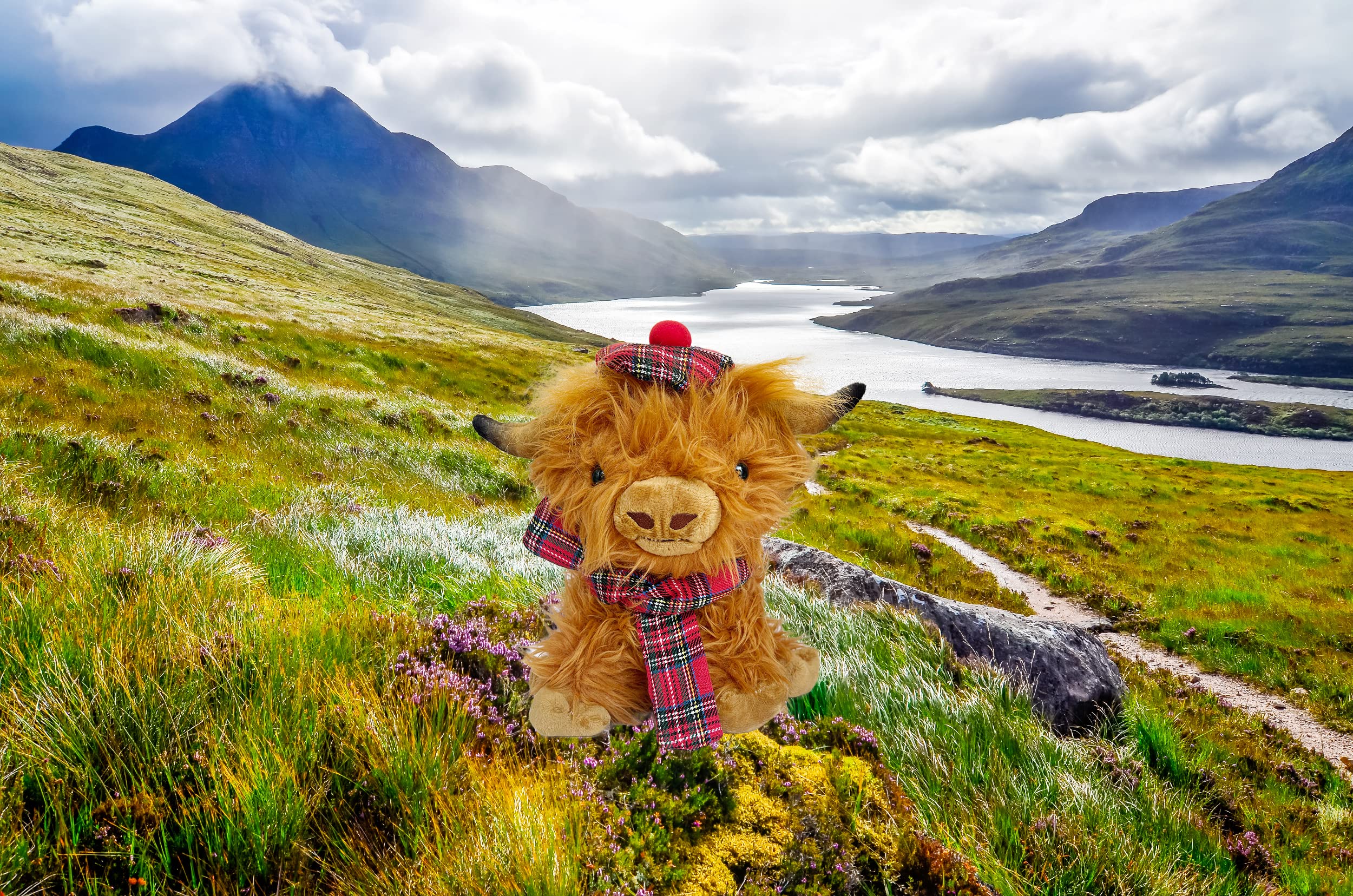 SaBrissi Wilbur Highland Cow horn detail highlights lifelike silhouette for collectors.