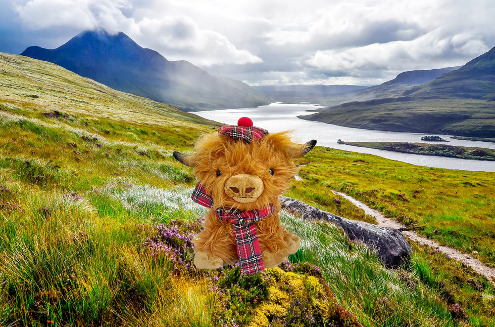 SaBrissi Wilbur Highland Cow horn detail highlights lifelike silhouette for collectors.