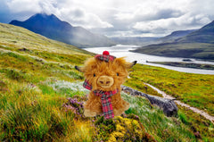SaBrissi Wilbur Highland Cow horn detail highlights lifelike silhouette for collectors.