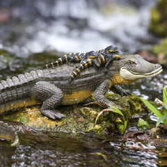 Safari Ltd. Alligator with Babies – safe, non-toxic materials for worry-free play.