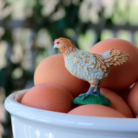 Safari Ltd Ameraucana chicken figurine blue-egg variant, ideal for science-themed activities.
