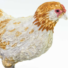 Safari Ltd Ameraucana chicken figurine for classroom activities and imaginative play.