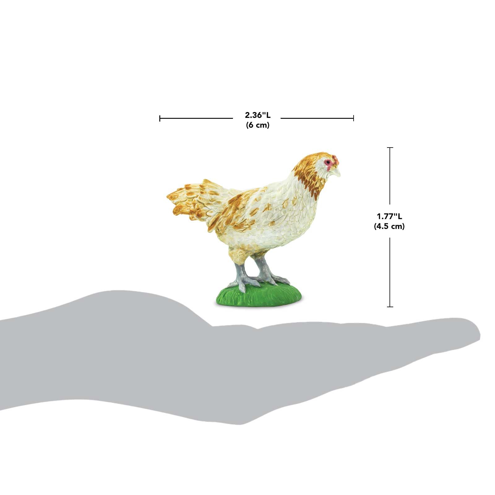 Safari Ltd Ameraucana chicken figurine close-up detail highlights accurate plumage.