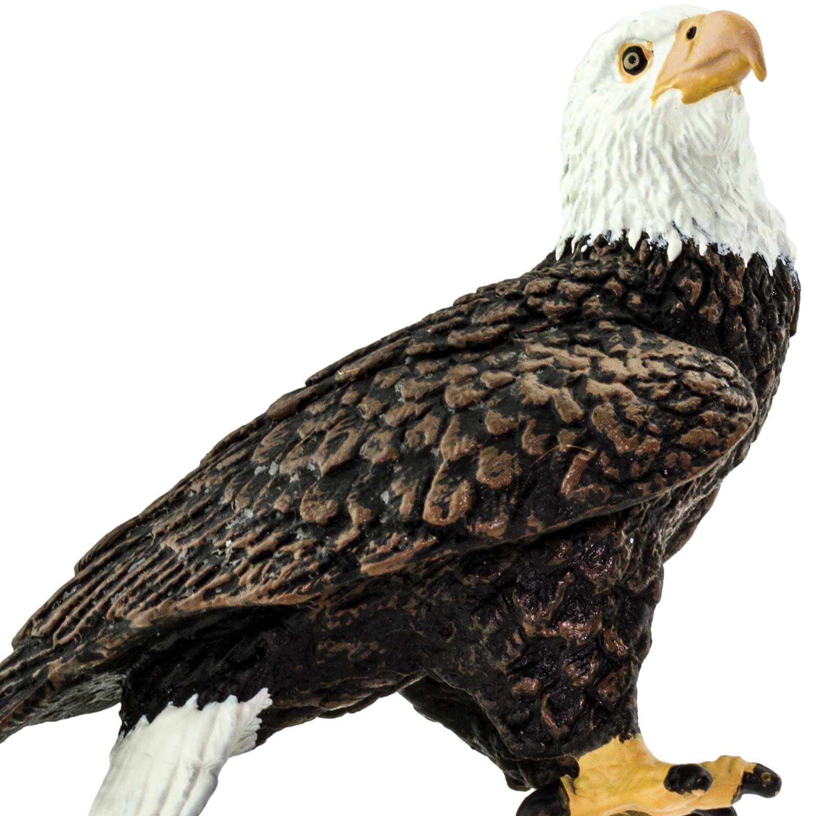 Safari Ltd Bald Eagle Figurine is safe for kids ages 3 and up.