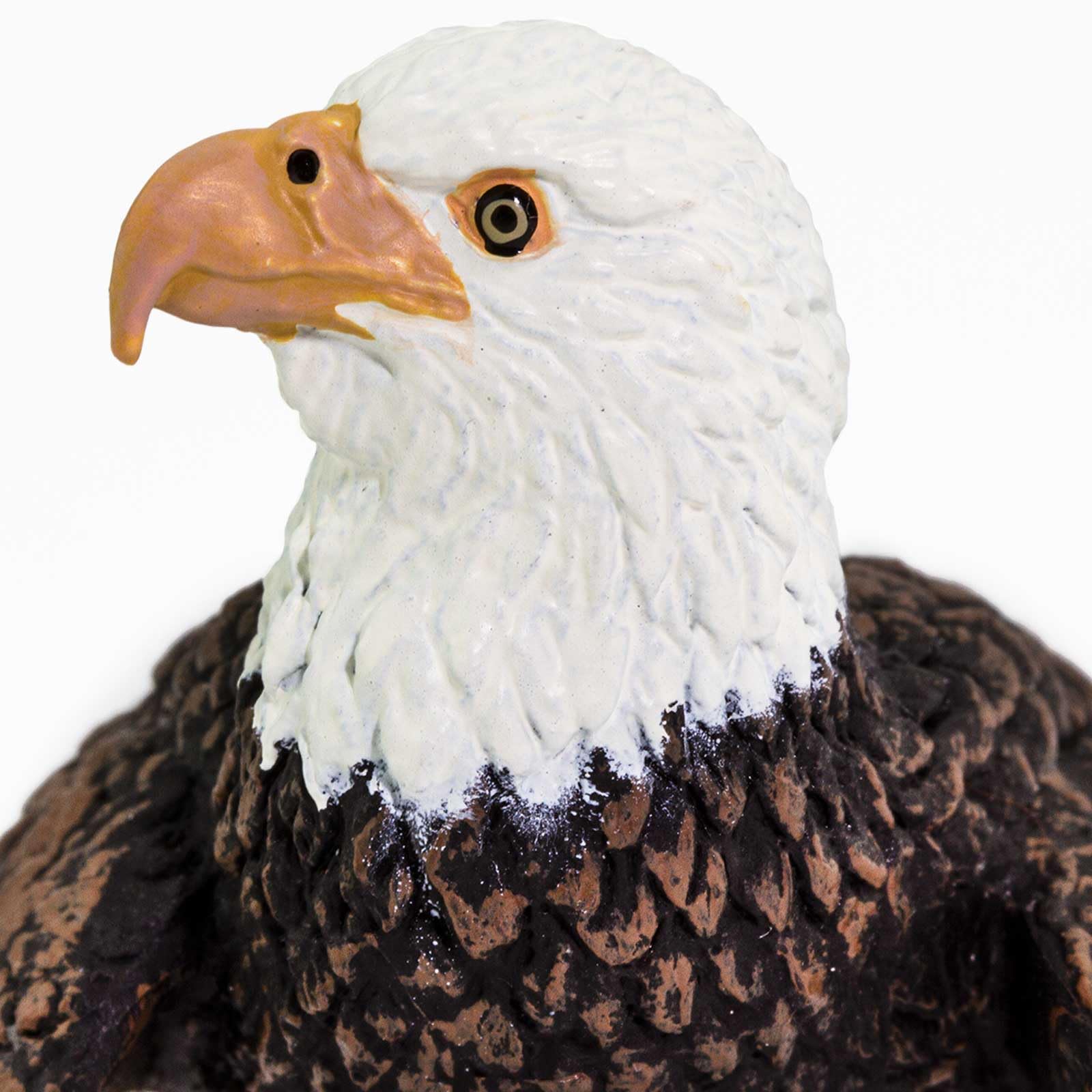 Safari Ltd Bald Eagle Figurine enhances learning corners and shelves.