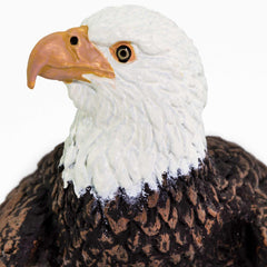 Safari Ltd Bald Eagle Figurine enhances learning corners and shelves.