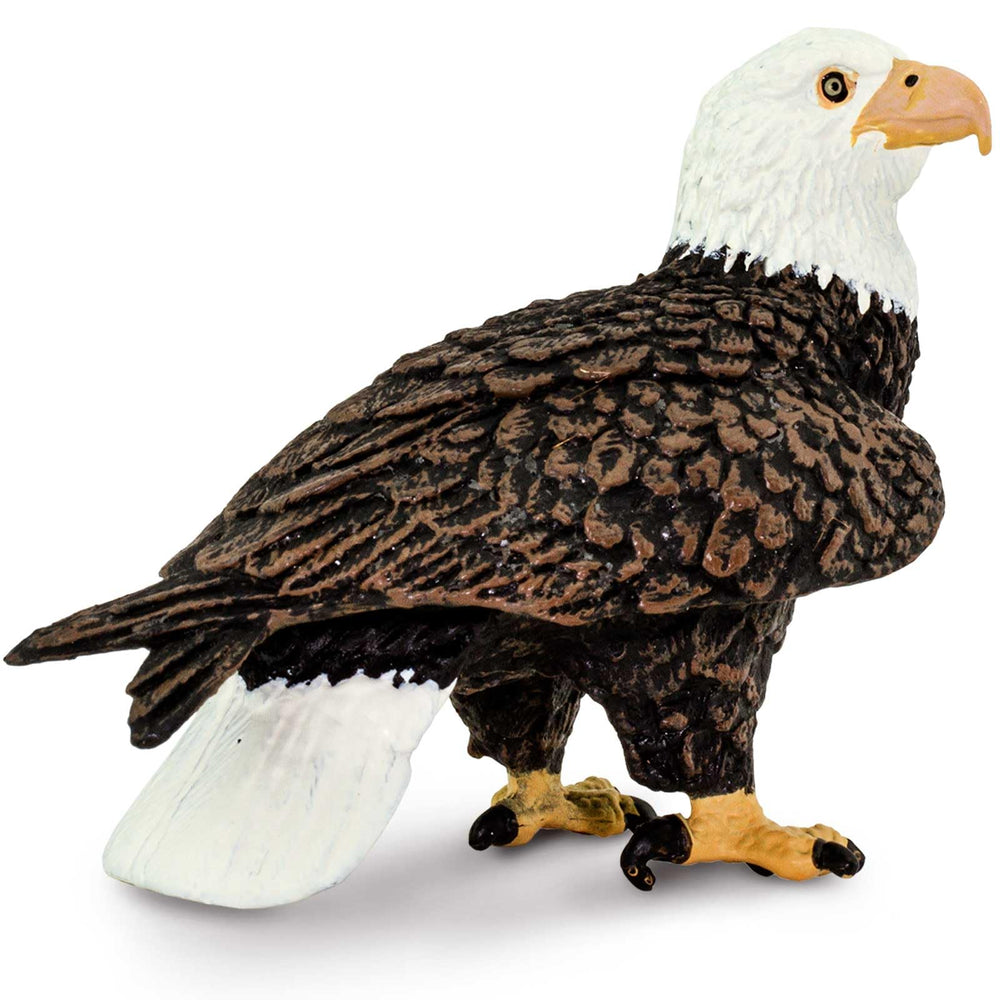 The Safari Ltd Bald Eagle Figurine with detailed feathers for realistic classroom display.