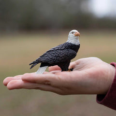 The Safari Ltd Bald Eagle Figurine features iconic white head for educational symbol study.