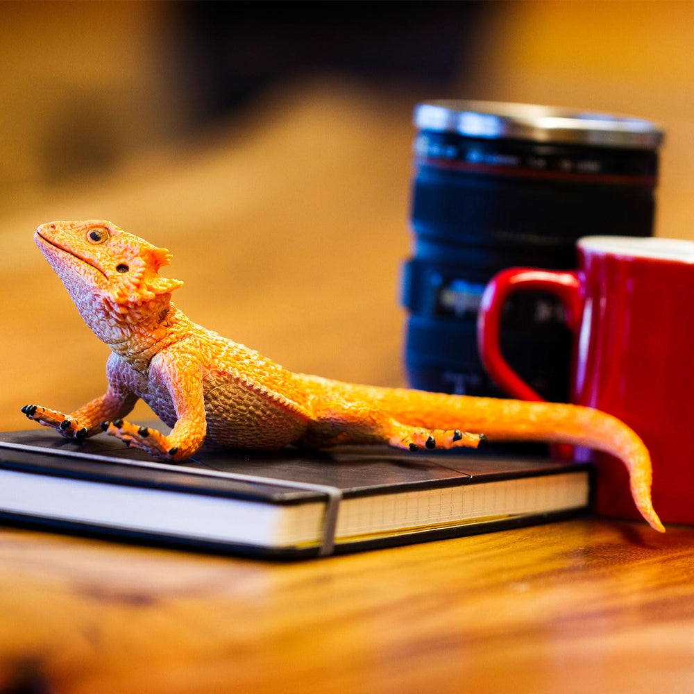 Safari Ltd Bearded Dragon Figurine collection item adds to wildlife figure sets