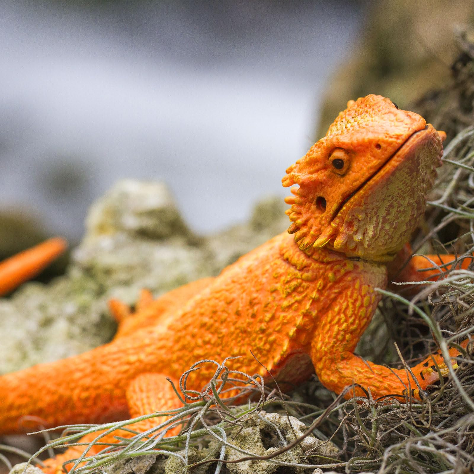 Safari Ltd Bearded Dragon Figurine dimensions 8.5 inches long for scalable play