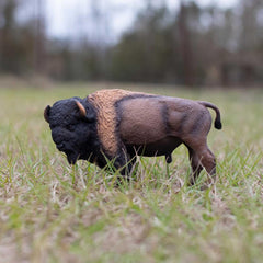 Safari Ltd bison figurine display-ready, wildlife education for classroom or home.