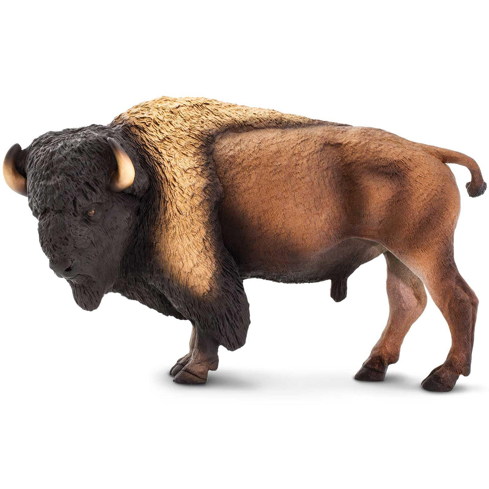 Safari Ltd bison figurine educational hangtag, multilingual facts for classrooms.