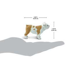 Safari Ltd Bulldog figurine front view with friendly expression for storytelling