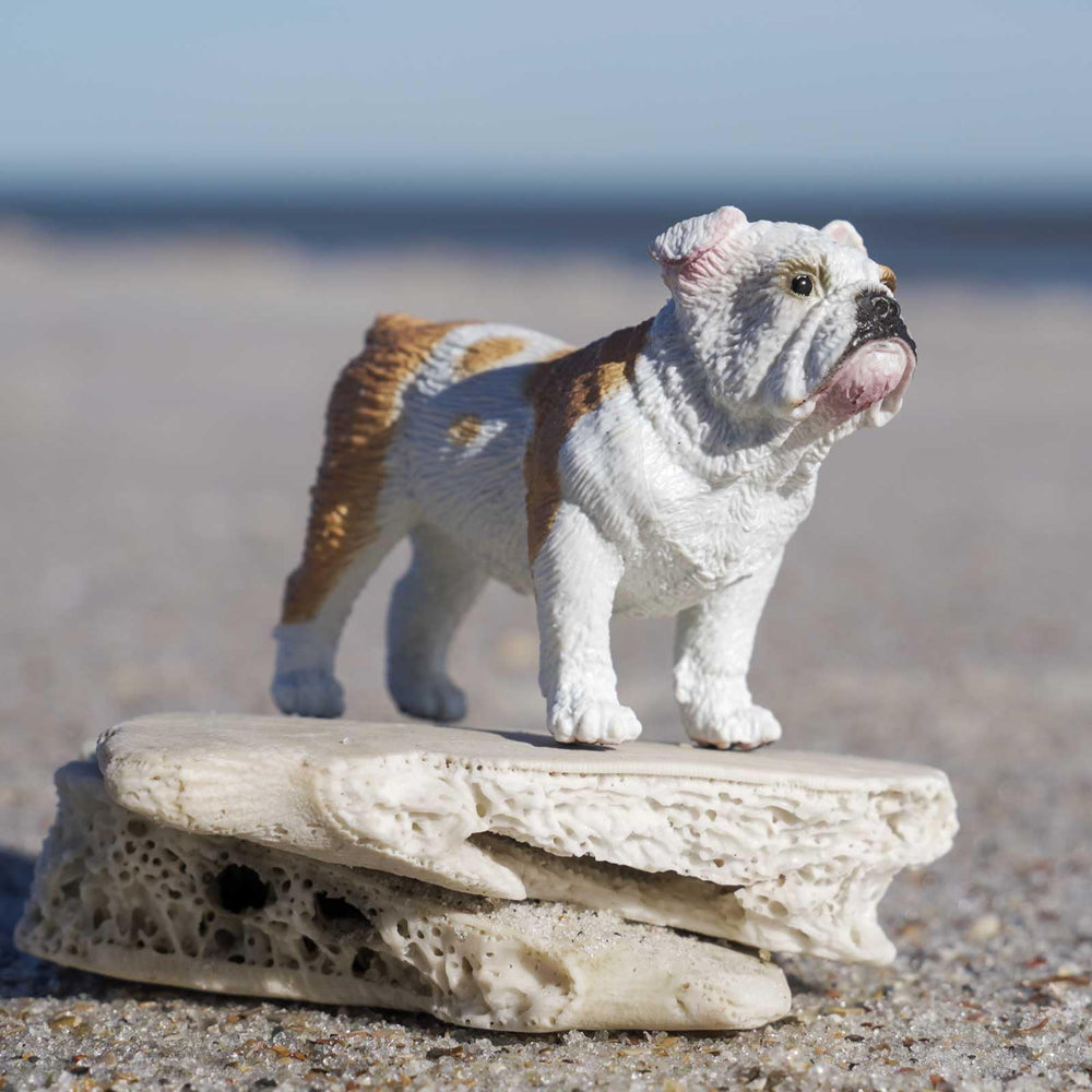 Safari Ltd Bulldog figurine side view highlighting compact size for imaginative play