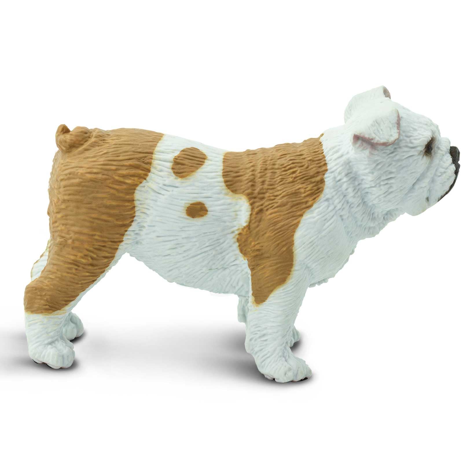 Safari Ltd Bulldog figurine with hangtag providing quick educational context