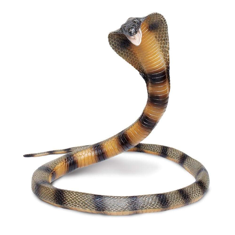 Safari Ltd Cobra figurine, 36 inch length, ideal for dramatic display and imaginative play.