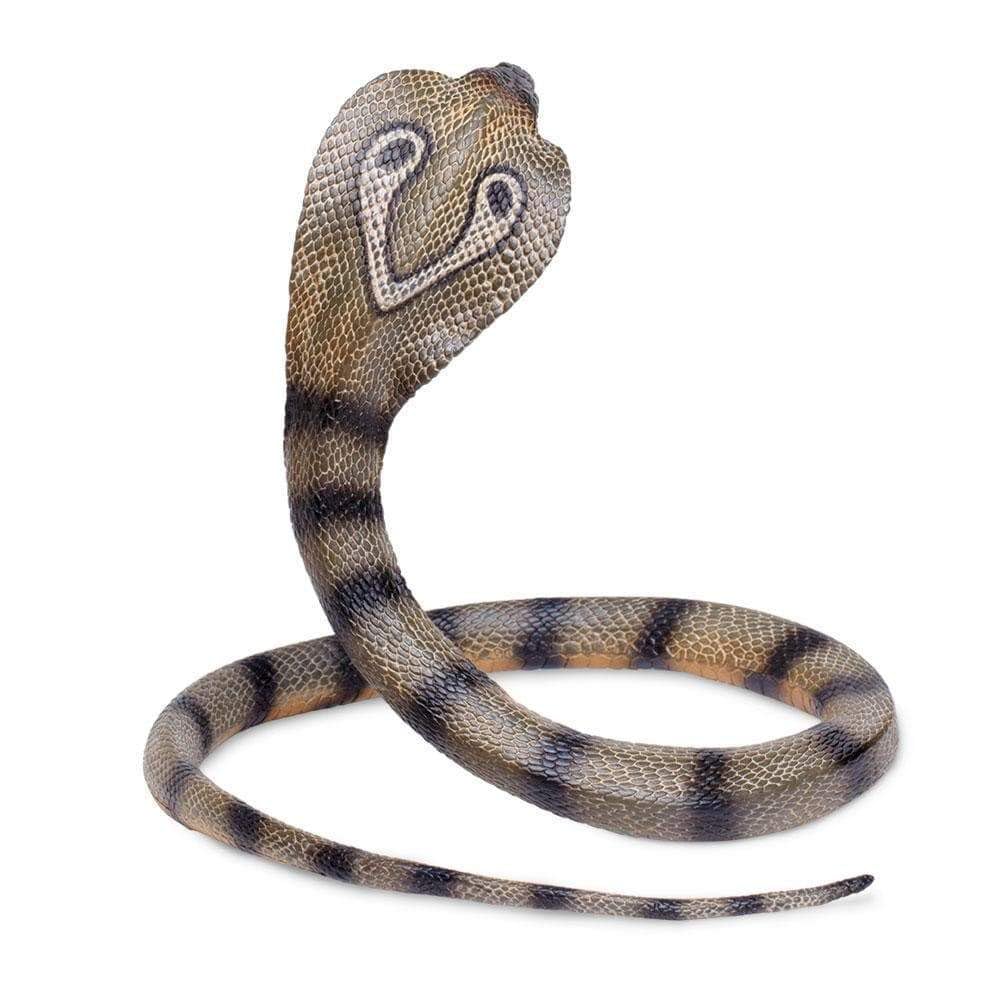 Safari Ltd Cobra figurine focuses on slender fangs and lifelike scales for realism.