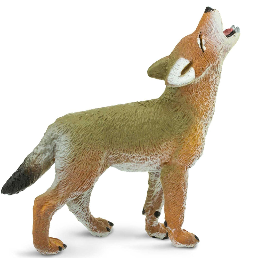 Safari Ltd. Coyote Pup with educational hangtag supporting multilingual learning
