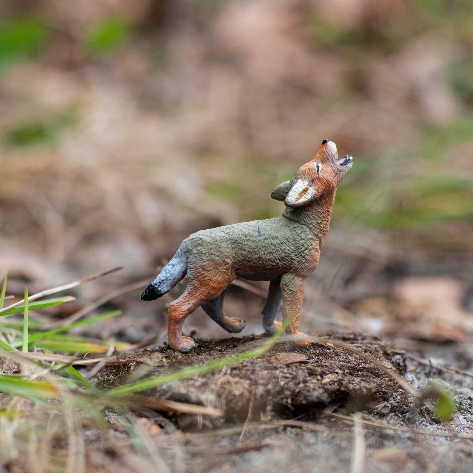 Safari Ltd. Coyote Pup painted texture for realistic display and learning