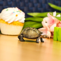 Safari Ltd. Desert Tortoise educational hangtag included for multilingual learning.
