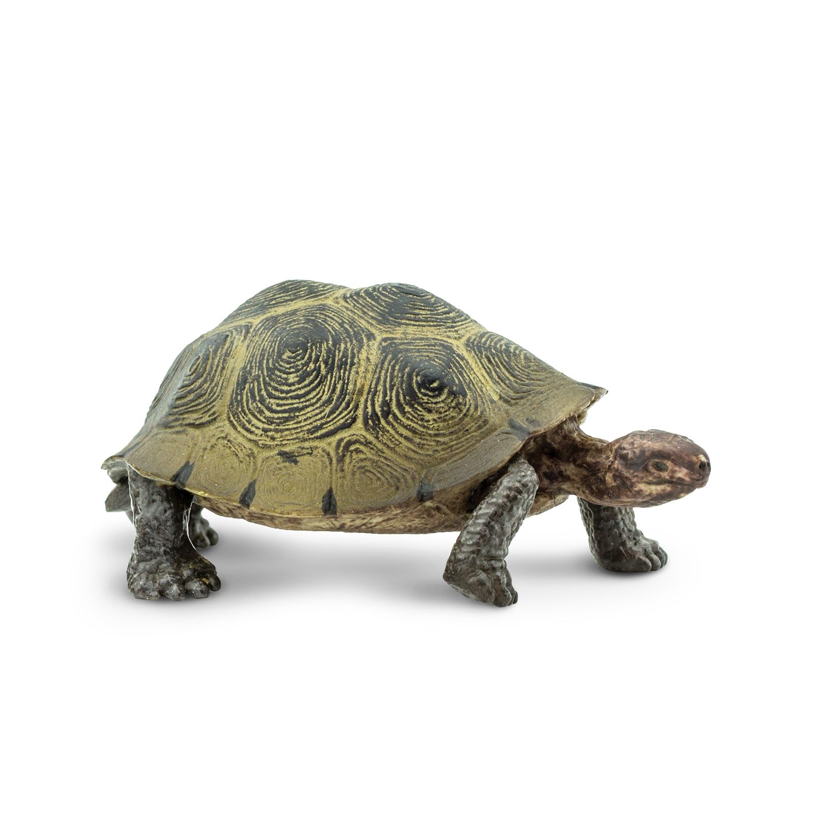 Safari Ltd. Desert Tortoise figurine for display and learning.
