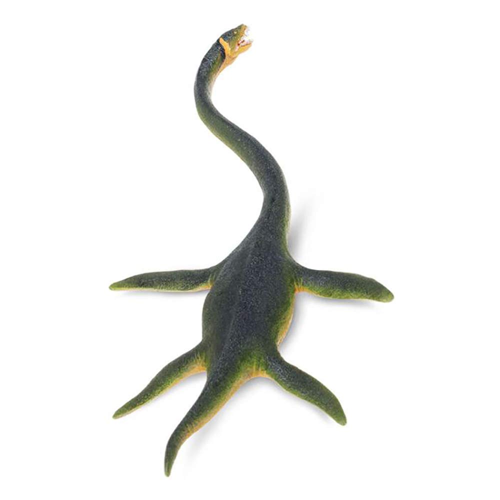 Safari Ltd Elasmosaurus figurine side view highlights neck pose for display.
