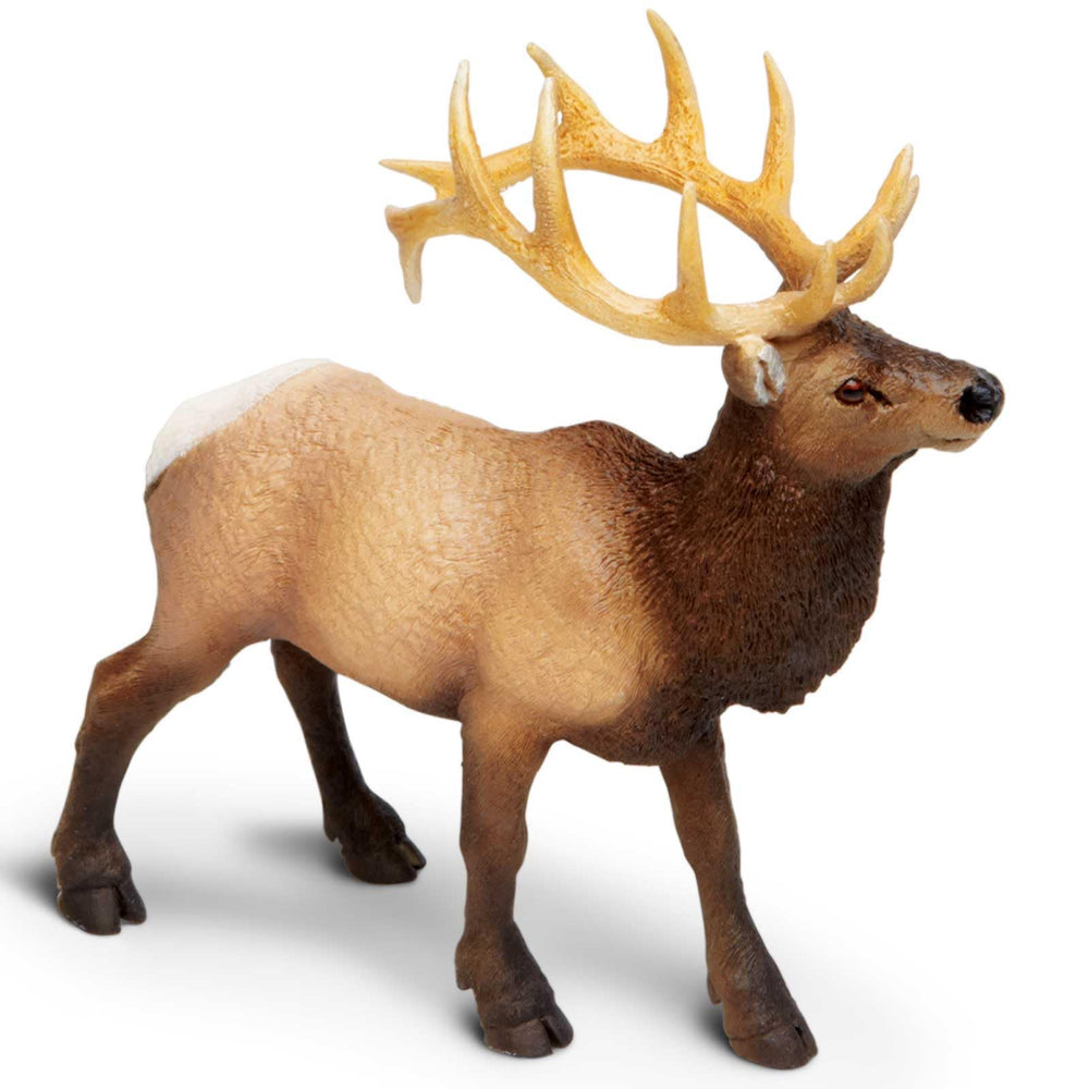 4.75-inch elk figurine for classroom demos and shelf display.